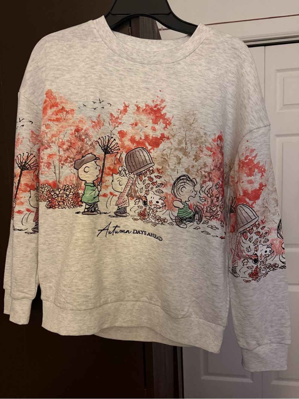 Snoopy Sweatshirt limited edition